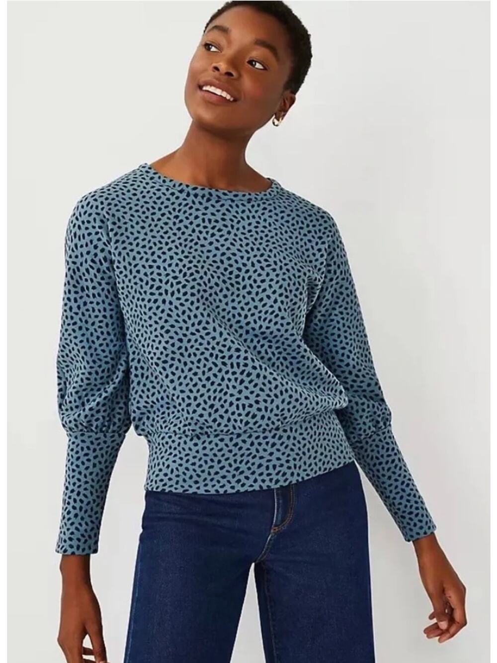 Ann Taylor Blouse Womens S Blue Black Animal Print Dolman Long Sleeve Crew Neck